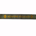 Naambandje Scouting Pegasus